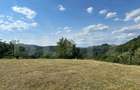 Casa tradi?ionala lini?te, natura ?i panorama spectaculoasa - 3