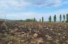 Vand 25.000 mp teren pentru hale in Tureni - 3