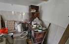 Vand casa batraneasca cu teren 4400mp, nr 295 - 1