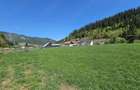 Teren de vanzare in Bucovina zona Pojorata pe Transrarau - 10