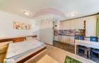 Apartament cu o camera de inchiriat la ARED KAUFLAND - 7