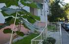 Lacul Tei, deosebit, proprietar, contract, liber