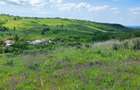 Vand teren.Panorama de vis.