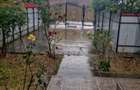 Apartament la parter cu iesire in curte proprietate - 10