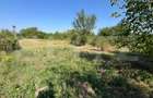 Teren intravilan de vanzare, 2.000 mp, deschidere 30 m - 4