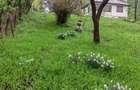 Vand teren in Alunis, Judetul Prahova