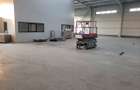 Exclusivitate hala 300 sau 600 mp, zona sere - 5