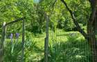 Teren Construcții intravilan de 5000 mp, în Poseștii-Pământeni