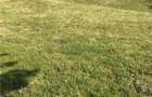 Valea Capriorii | 1127 MP | Intravilan | Front 33 MP - 2