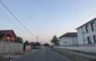Vanzare Teren construibil 1300mp Piteasca Ganeasa . - 8