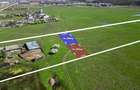 PIPERA - OXFORD GARDENS,TEREN ,852 MP,DESCHIDERE 18 M,LANGA PADURE - 3