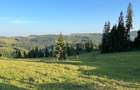 50 hectare teren | Moldova-Sulita | Potential turistic si agricol