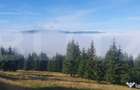 Teren extravilan, 50.000 mp, zona Vatra Dornei - Vatra Dornei (Suceava) - 4