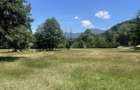 Teren intravilan in Brezoi, Valcea, Valea lui Stan - 4