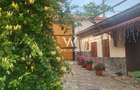 Casa saseasca renovata, cu sura - Seica Mare, Sibiu - 5