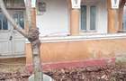 Casă cu 2 camere cu Teren 800 Mp în Tudor Vladimirescu