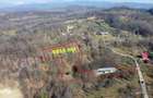 Constructie + teren de vanzare in comuna Valea Iasului, judet Arges. - 8