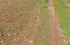 Teren INTRAVILAN 5400mp BAICOI aproape de DN1 str Movila vulpii - 1
