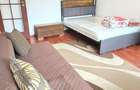 Apartament 1 camera decomandat, CT, et. 1 PODU ROS - N Iorga, 275 euro - 4