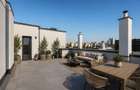 PENTHOUSE 300 MP | Terasa panoramica 136 MP | 13 Septembrie - 6