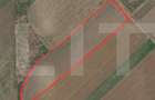 Teren extravilan, 5.000 mp, cu 25 ml deschidere - Cristesti - 1
