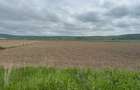 Vand teren extravilan 18.500 mp in Selimbar / jud. Sibiu - 1