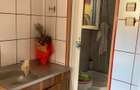casa vacanza Iepuresti(Giurgiu) - 1