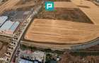 Teren cu potential imens de 9550 mp, Micalaca - 1
