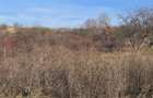 De vanzare doua hectare teren extravilan Corbita