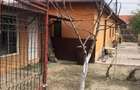 Arad, Centrul istoric - 5