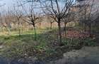 Teren intravilan 609 mp Vidra, deschidere 24 m, ideal pentru construc?ie - 1