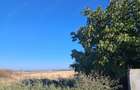 Teren la doar 13 km de Slatina - 7
