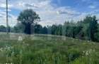 De vanzare teren Rasca - cu o panorama superba! - 7