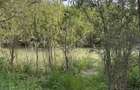 Teren intravilan - 500mp - proprietar - 2