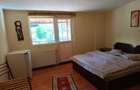 Casa de vanzare cu teren de 3800 mp - 8