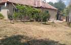 Vand casa - sat Cotu Ciorii ,jud Buzau - 2