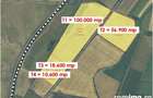 18.6 HA Teren - Salonta - IMOBIHOR - 4