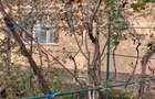 Prahova, Sat. Minier