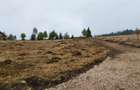 Vand teren intravilan 2666 mp comuna Horea Alba langa varful Petreasa 1600m altitudine