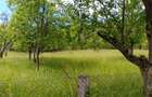 Teren de vanzare Horezu