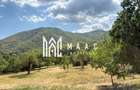 Teren intravilan de vanzare i 1180 mp i Cisnadioara - 1