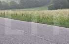 Teren la sosea, 5200 mp, localitatea Jena - 1