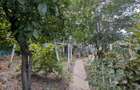 Casa de vanzare Mizil Str. Toamnei - 5