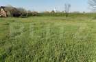 Teren Intravilan, 2500 mp, zona Tatarasti - 2