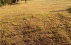 Teren de 2100 mp, în Rădăcinești - 5