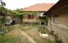 Casa de vanzare cu terenuri - 1