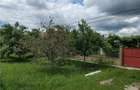 Casă cu 5 camere cu Teren 3500 Mp în Sântana - 5