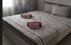 38358  Apartament 2 camere Sat Vacanta - 8