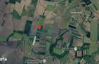 Teren extravilan 3000 mp, comuna Bors, Bihor, Gaminvest, V4568 - 1