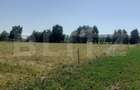 Teren 26 ari, extravilan, langa padure, zona Partestii de Jos